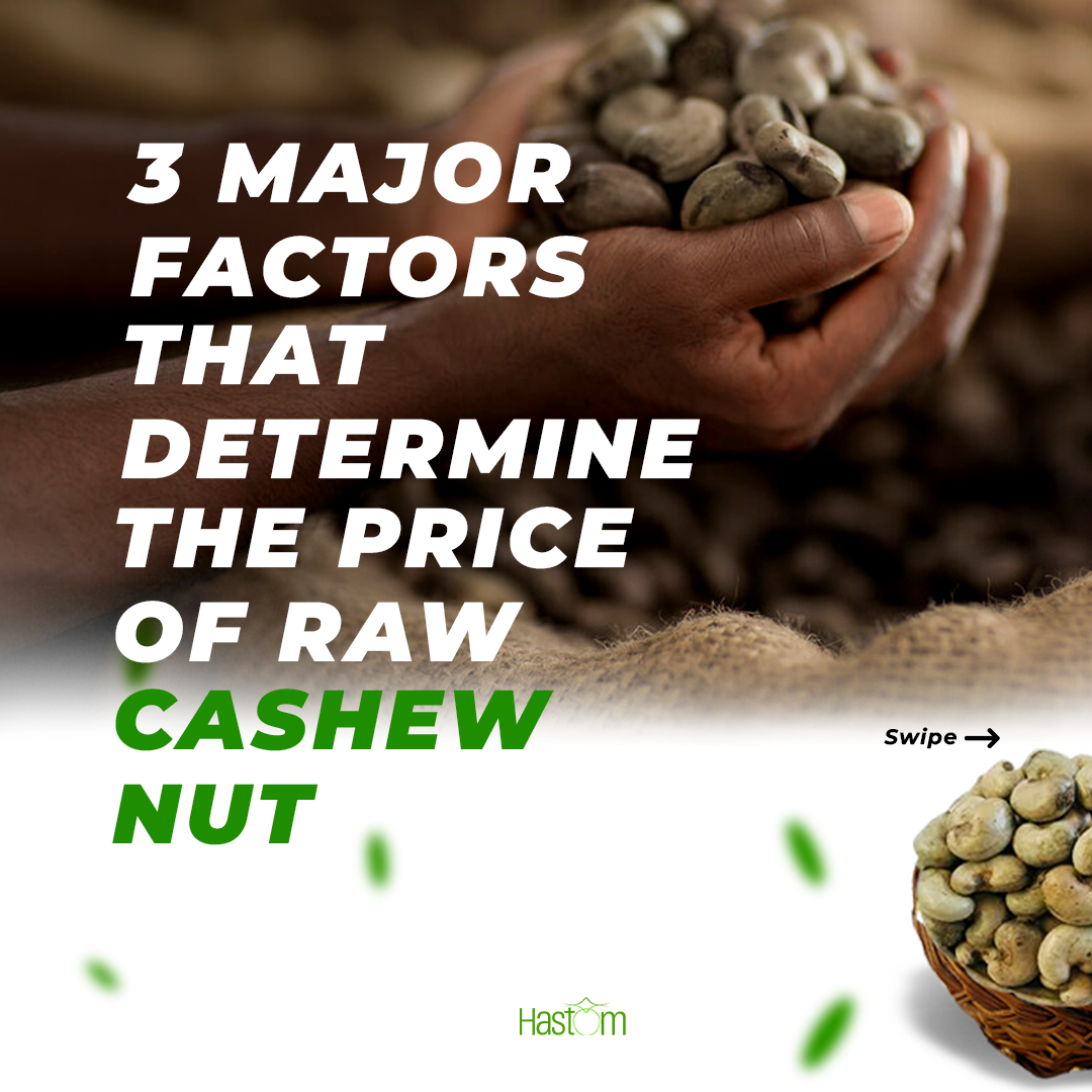 3 Major Factors That Determine The Price Of Raw Cashew Nuts