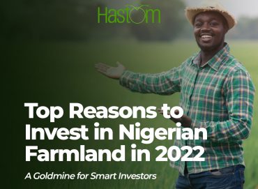 Nigerian farmland