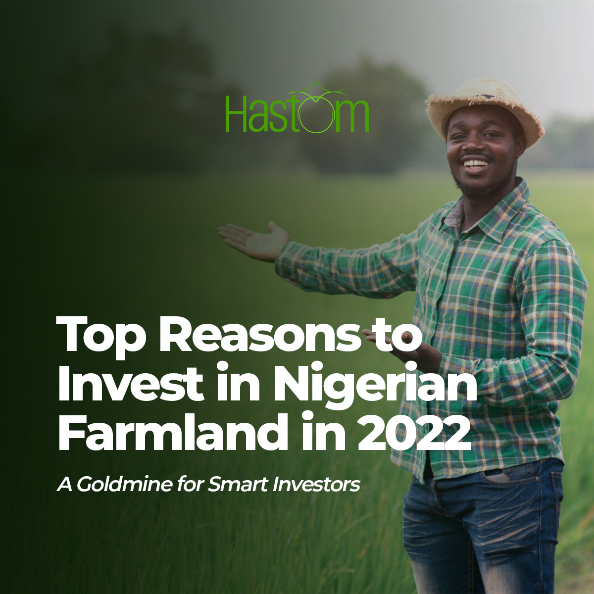 Top Reasons to Invest in Nigerian Farmland in 2022: A Goldmine for Smart Investors