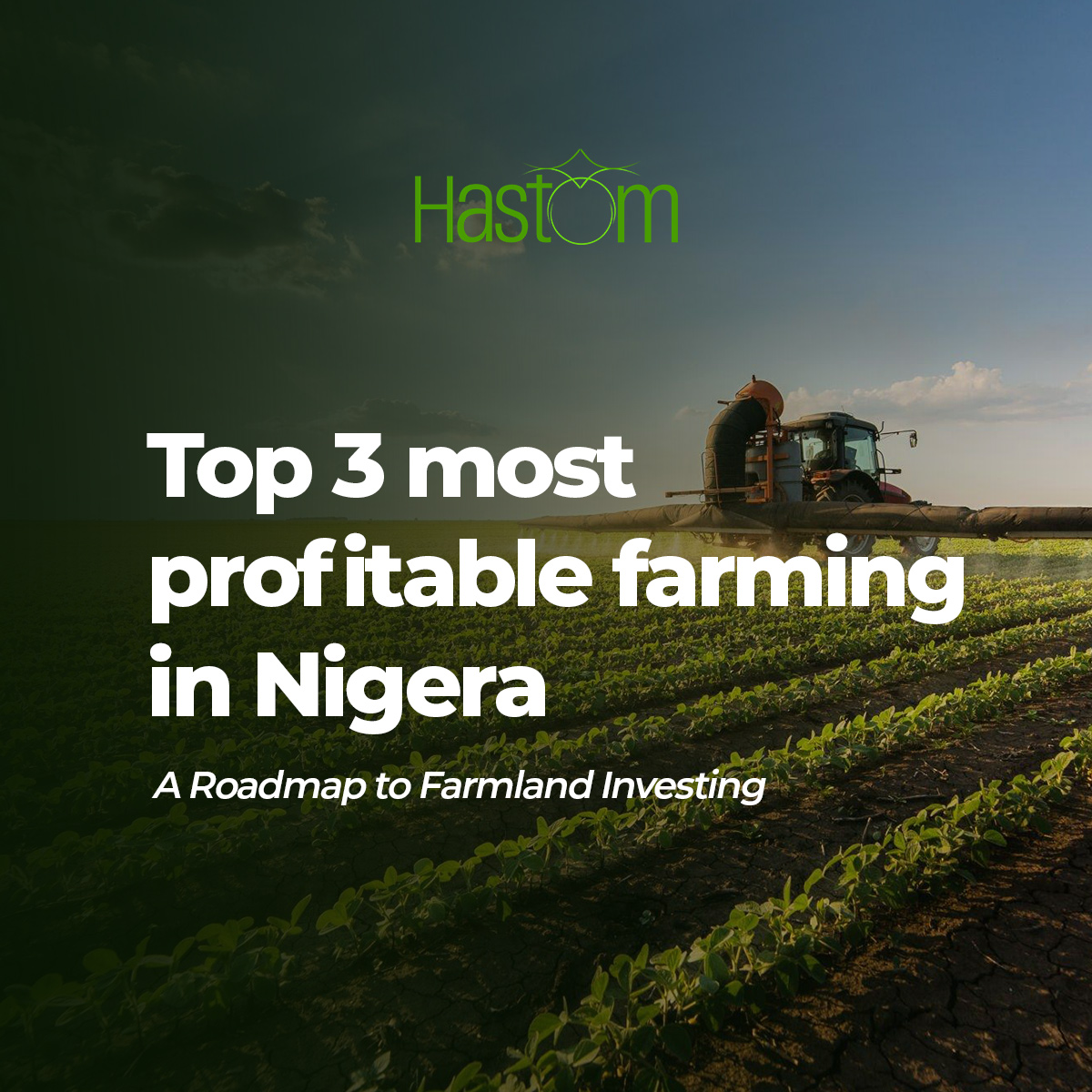 Top 3 most Profitable Farming In Nigeria