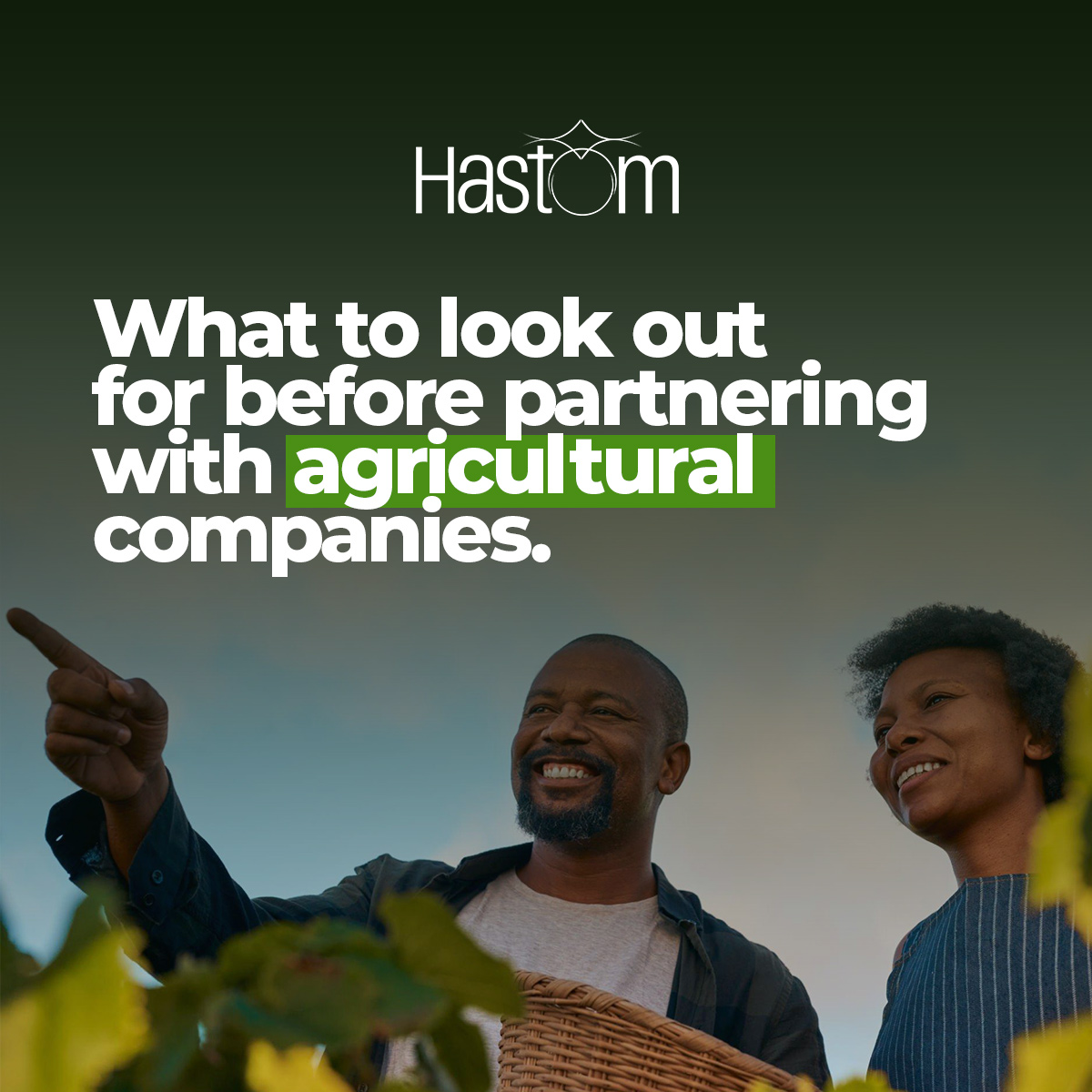 What to look out for before partnering with agricultural companies