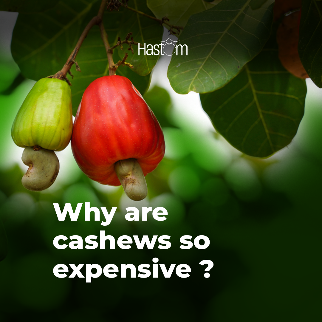 Why are Cashew Nuts so expensive?