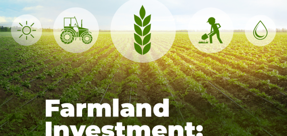 Farmland investment