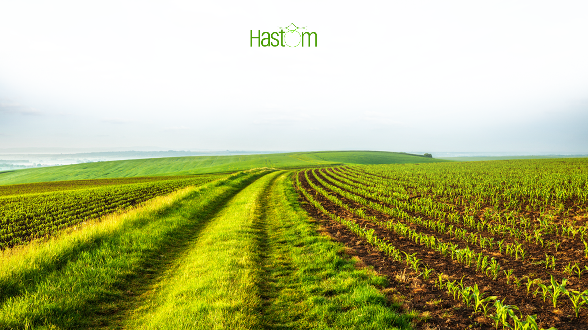 Making Profits in 2023 with Hastom Agriculture Plans