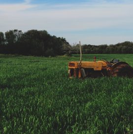 farmland