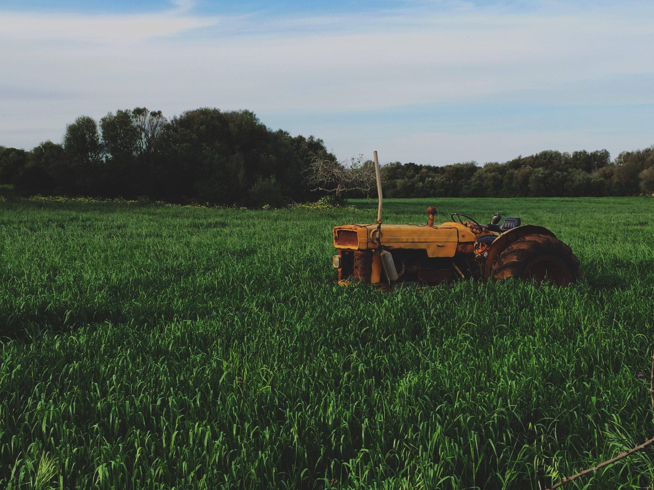 farmland