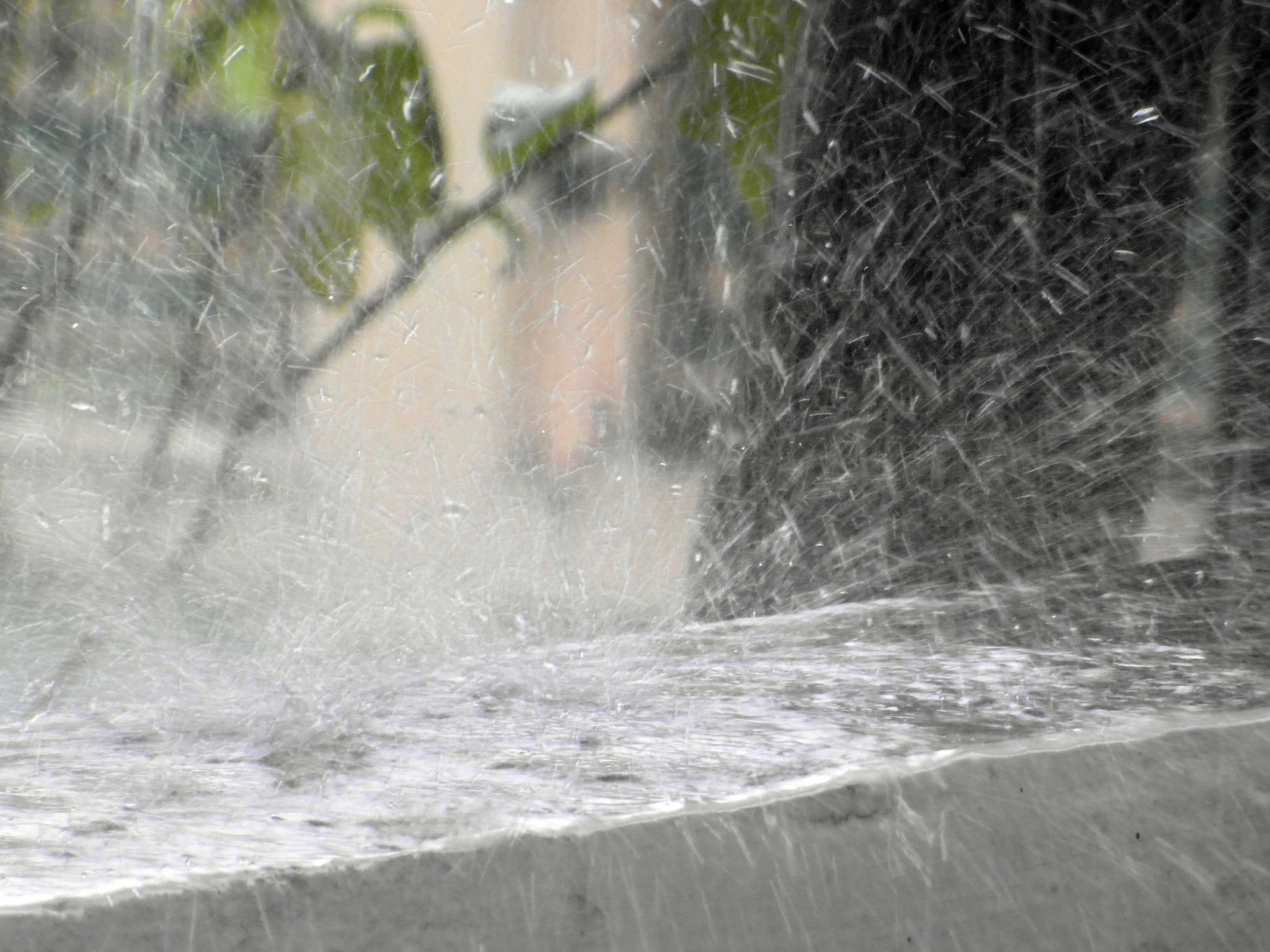 During the Rainy Season, is There Anything Like Too Much Rain?