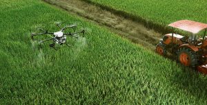 The Impact of AI on Nigeria's Agricultural Sector
